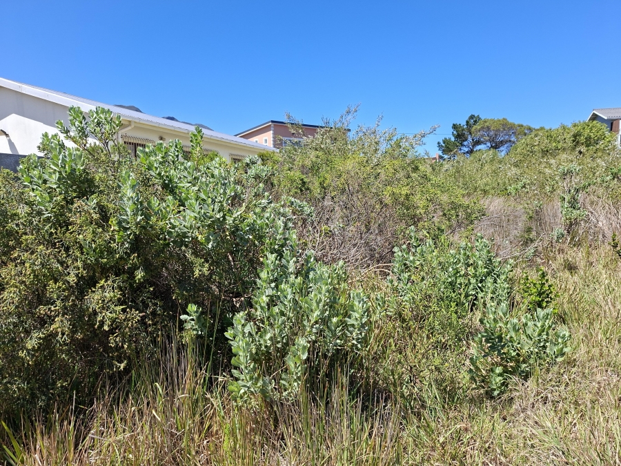 0 Bedroom Property for Sale in Pringle Bay Western Cape